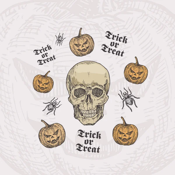 Trick or Treat Halloween Wektor tle lub szablon karty. Ręcznie rysowane Scull Head i dynie ze szkicem Spider i zabytkowej typografii. Wakacyjny skład dekoracyjny. — Wektor stockowy