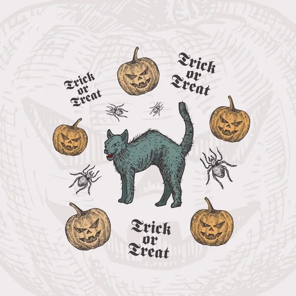 Trick or Treat Halloween Wektor tle lub szablon karty. Ręcznie rysowane czarny kot i dynie z Pająk Szkic i Typografia Vintage. Wakacyjny skład dekoracyjny. — Wektor stockowy