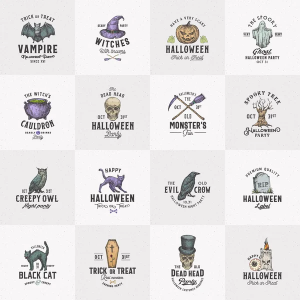 Logotipos de Halloween de estilo vintage o plantillas de etiquetas Big Set. Dibujado a mano Cuervo, Scull, Gato, Murciélago, Sombrero de bruja y la colección de símbolos de boceto de lápida. Tipografía Retro. Texturas de Shabby Fondo. — Archivo Imágenes Vectoriales