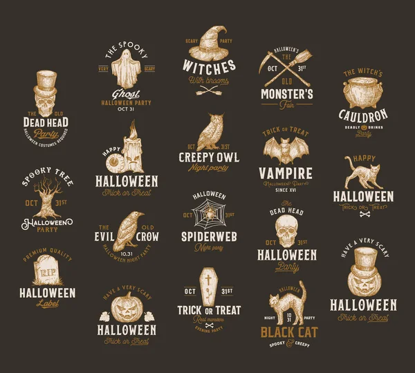 Vintage Style Halloween Logos eller etiketter mall Big Set. Handritad Vampyrbatong, Skalle, Tomb, Katt, Hatt, Uggla, Pumpa, Kittel och Ghost Sketch Symboler Collection. Retrotypografi. Mörk bakgrund — Stock vektor