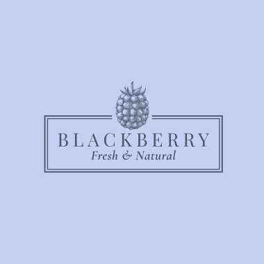 Blackberry Soyut Vektör İşareti, Sembol veya Logo Şablonu. Zarif Retro Typography ve Frame ile El Çizimi Böğürtlen Silüeti Sketch. Klasik Lüks Amblem.