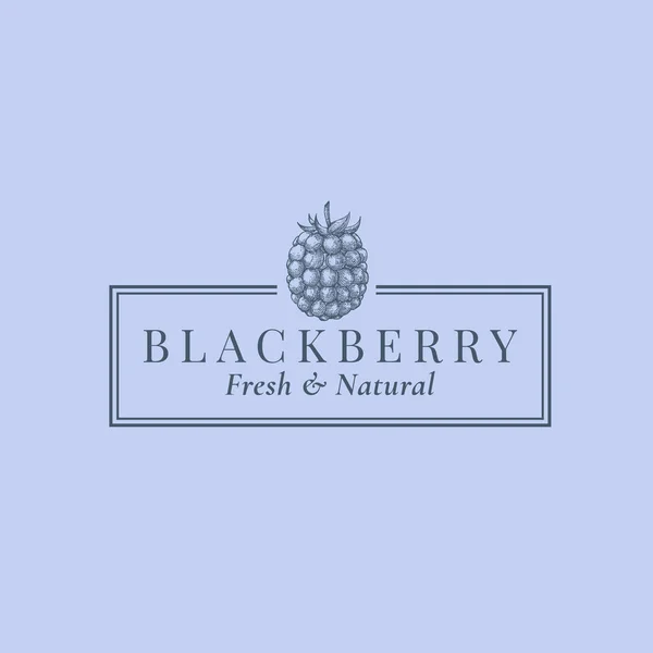 Blackberry astratto segno vettoriale, simbolo o logo modello. Disegnato a mano Bacche Sillhouette Sketch con elegante retrò tipografia e telaio. Emblema di lusso vintage. — Vettoriale Stock