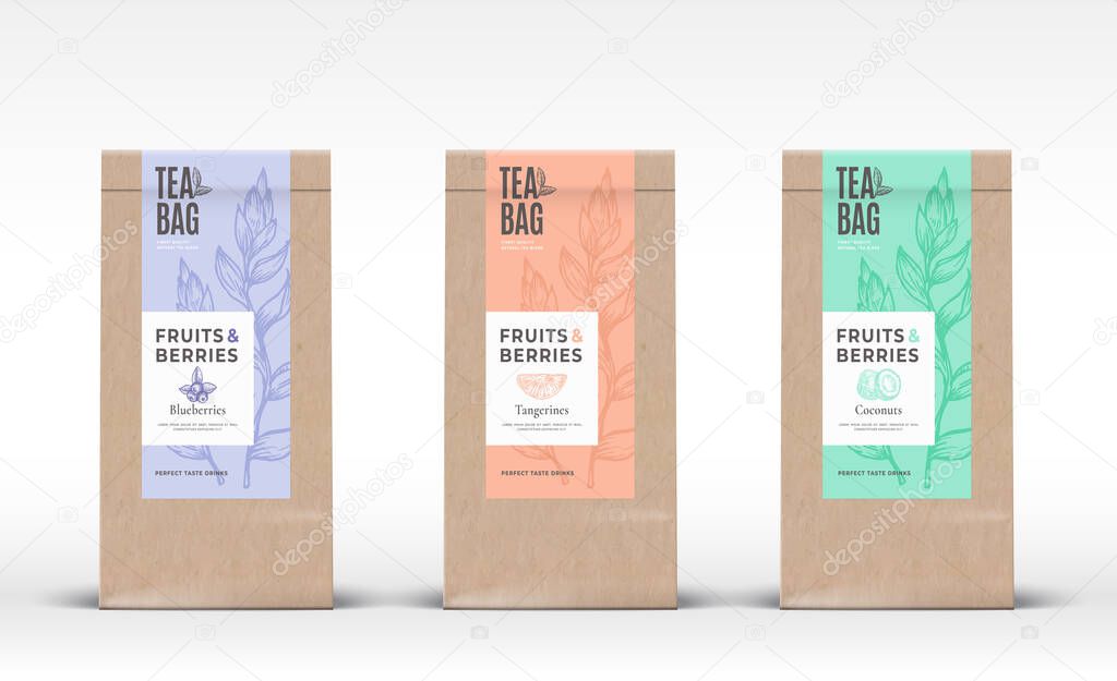 Craft Paper Bag with Fruit and Berries Tea Labels Set. Abstract Vector Packaging Design Layout with Realistic Shadows. Hand Drawn Blueberry, Coconut and Tangerine Silhouettes Background.