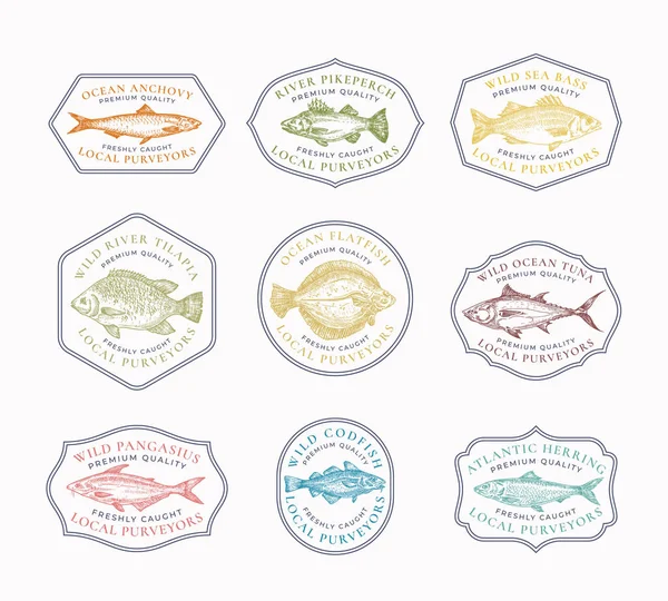 Emblemas de moldura vintage de peixe ou conjunto de modelos de logotipo. Mão desenhado rio e oceano peixes esboço Emblems pacote com tipografia retro. —  Vetores de Stock