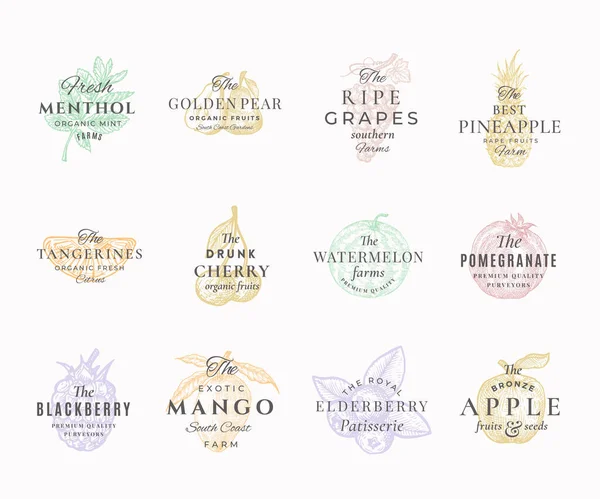 Premium Qualituy Ensemble d'étiquettes élégantes pour fruits, baies et épices. Signes vectoriels abstraits, symboles ou modèles de logo. Croquis alimentaires dessinés à la main avec typographie rétro. Collection Emblèmes Vintage. — Image vectorielle