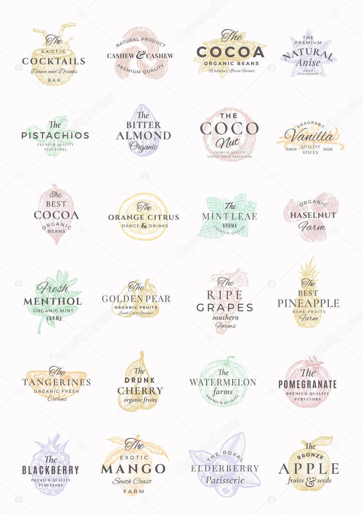 Premium Fruits, Berries, Nuts, Spices Elegant Labels Set. Abstract Vector Signs, Symbols or Logo Templates Bundle. Hand Drawn Food Sketches with Retro Typography. Vintage Emblems Collection. Isolated