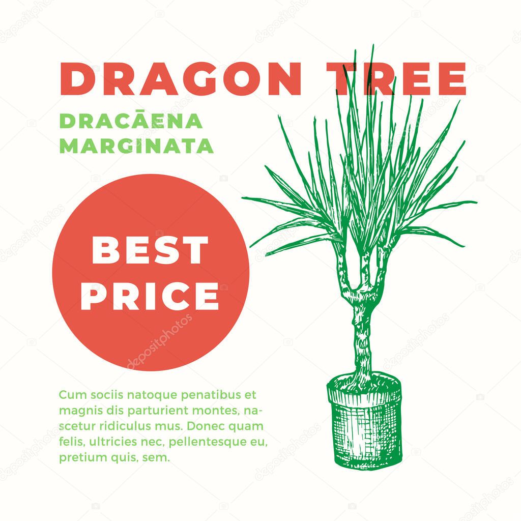 Dragon Tree Abstract Vector Sign or Label Template. Hand Drawn Potted Dracaena Sillhouette with Modern Typography Home Gardening Card. Houseplant Advertising Emblem or Package Label.