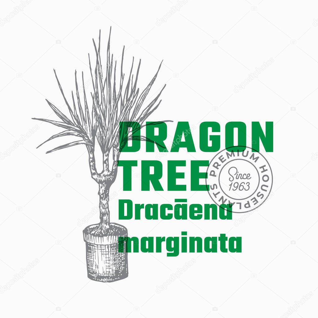 Dragon Tree Plant Abstract Vector Sign or Label Template. Hand Drawn Potted Dracaena Sillhouette with Modern Typography Home Gardening Card. Houseplant Package Design.