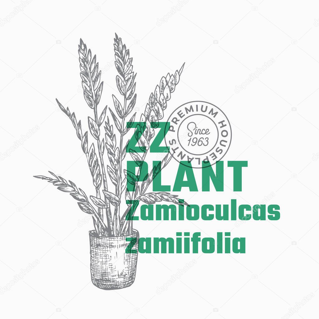 ZZ Plant Abstract Vector Sign or Label Template. Hand Drawn Potted Zamioculcas Sillhouette with Modern Typography Home Gardening Card. Houseplant Package Design.