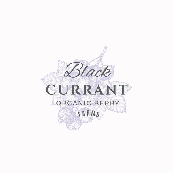 Black Currant Çiftlikleri Soyut Vektör İşareti, Sembol veya Logo Şablonu. Retro Typography ile Yaprak Sketch ile El Çizimi Böğürtlenleri. Klasik Lüks Amblem. — Stok Vektör