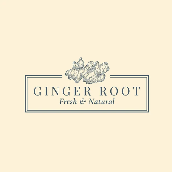 Ginger Root Astratto segno vettoriale, simbolo o logo modello. Disegnato a mano pianta Sillhouette Sketch con elegante retrò tipografia e telaio. Emblema di lusso vintage. — Vettoriale Stock