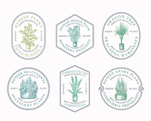 Hauspflanzen Badges oder Logo Templates Collection. Handgezeichnete Topfblumen mit Blättern Skizzen mit Retro-Typografie und Bordüren. Premium Home Gardening Embleme im Rahmen Bündel. — Stockvektor