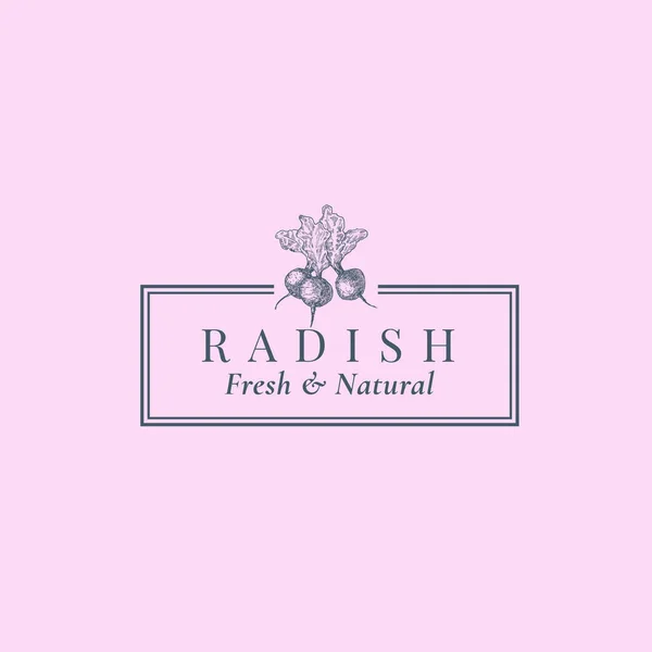 Radish Abstrakt vektor tecken, symbol eller logotyp mall. Handritad grönsaksväxt Sillhouette Skiss med elegant Retro typografi och ram. Vintage Lyx Emblem. — Stock vektor