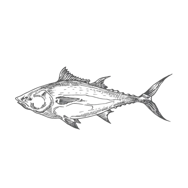 Tuna mão desenhada Doodle Vector Ilustração. Esboço de peixe abstrato. Gravura Estilo Desenho. — Vetor de Stock