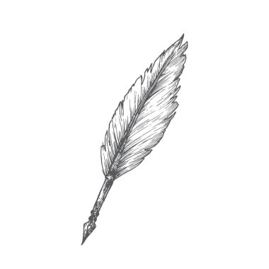 Tüy Kalemi Çizilmiş Doodle Vektör İllüzyonu. Soyut Durağan Çizim. Okul veya Eğitim Temalı İşleme Biçimi Çizimi.