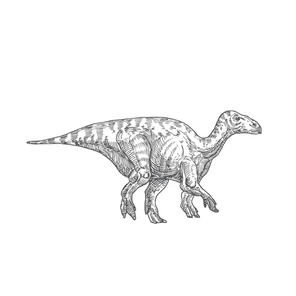 Illustration vectorielle de dinosaures préhistoriques. Dessin de style gravure reptile Iguanodon dessiné à la main. — Image vectorielle