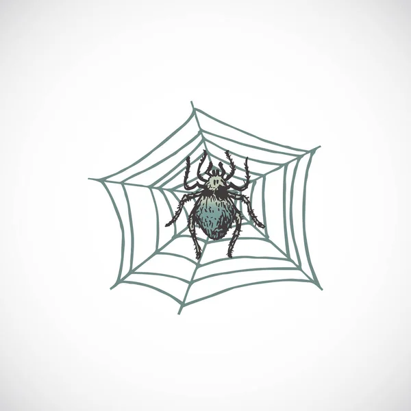 Aranha assustadora de Halloween colorida desenhada à mão na ilustração do vetor da Web. Esboço Abstrato. Gravura de férias Estilo Desenho. —  Vetores de Stock