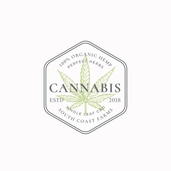 Cannabis Frame Badge or Logo Template. Hand Drawn Hemp Leaf Sketch with Retro Typography and Borders. Vintage Premium Medicine Herb Emblem. — Stock Vector