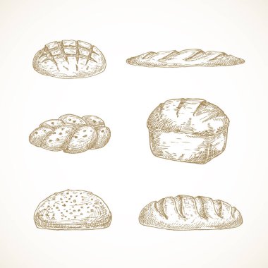 Vektör Brread çizimleri ayarlandı. Challa, Ekşi Hamur Ekmeği, Tuğla ve Baget 'in El Çizimleri.