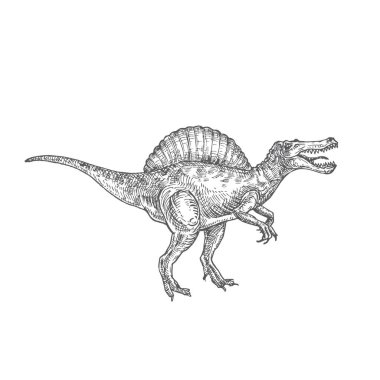 Tarih öncesi dinozor Doodle Vektör İllüstrasyonu. El Çizimi Spinosaurus Sürüngen İşleme Biçimi.
