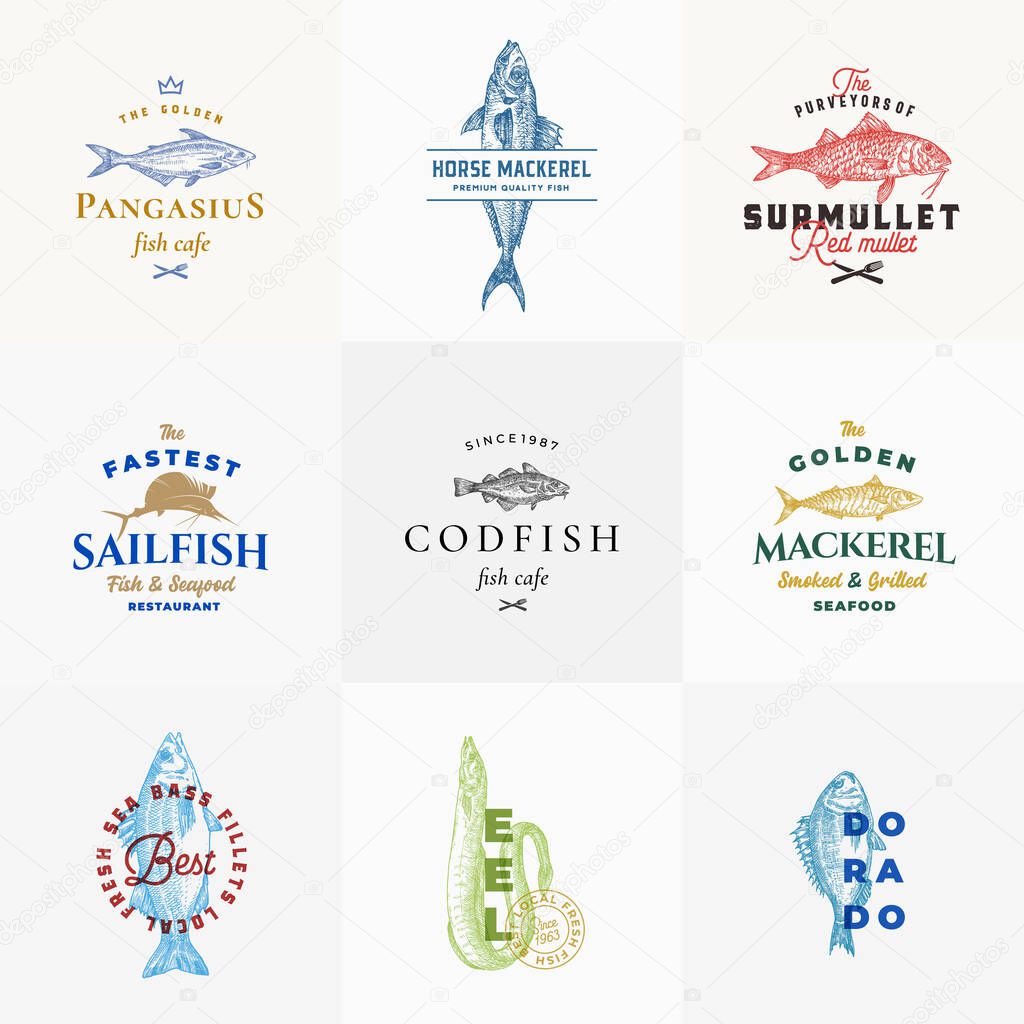 Premium Quality Seafood Vector Signs or Logo Templates Collection. Hand Drawn Fish Sketches with Typography, Surmullet, Eel, Sailfish, Cod, Dorado, Mackerel etc. Emblems bundle. Isolated.