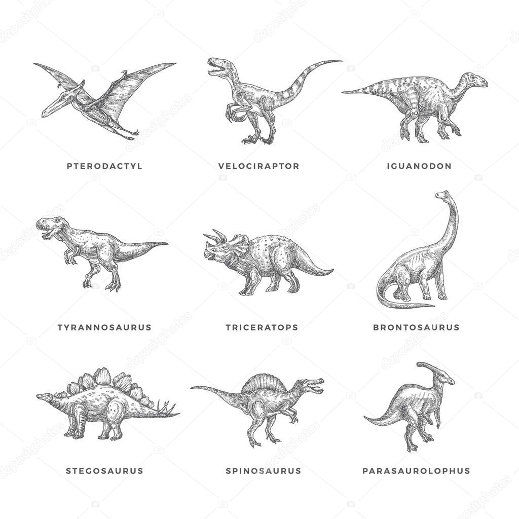 Prehistoric Dinosaurs Sketch Signs, Symbols or Illustrations Set. Hand Drawn Vector Ancient Reptiles Silhouttes Collection. Doodle Style Drawings Bundle. Isolated.
