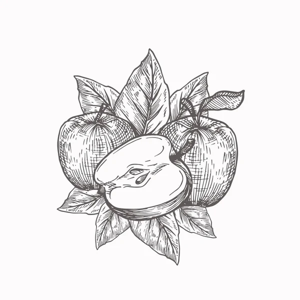 Mele con foglie Illustrazione vettoriale disegnata a mano. Composizione astratta Doodle Fruit Sketch. Isolato — Vettoriale Stock