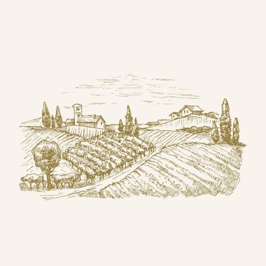 El Çizimi Peyzaj Vektörü İllüstrasyonu. Kulübeleri, ahırları, ağaçları ve kırsal binaları olan üzüm bağları ve çiftlikleri. Field ve Houses Doodle. İzole edilmiş