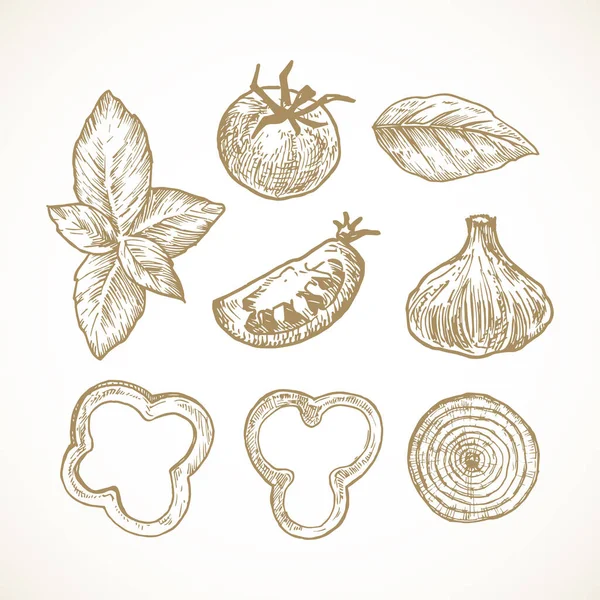 Collezione di illustrazioni vettoriali di verdure e erbe disegnate a mano. Set di pomodori, basilico, peperoni e anelli di cipolla e schizzi di aglio. Doodles alimentari naturali. Isolato — Vettoriale Stock