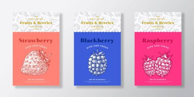Meyve ve Böğürtlen Şablonu Ayarlandı. Vektör Tasarım Düzeni Koleksiyonu. Modern Typography Banner with Hand Drawn Strawberry, Blackberry and Raspberry Sketches Background. İzole edilmiş