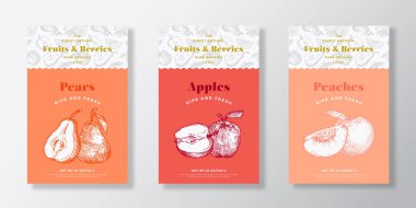Yerel Meyve Deseni Şablonları Ayarlandı. Vektör Tasarım Düzeni Koleksiyonu. El yapımı pastaları, elmaları ve şeftali rengi çizimleri olan modern tipografi afişi. İzole edilmiş