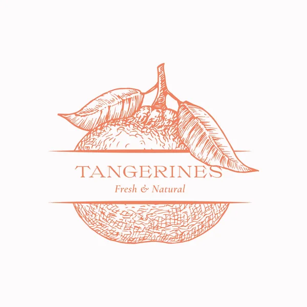 Fresh Tangerines Organic Fresh Citrus Abstrakt vektortecken, symbol eller logotyp mall. Handritad Tangerine Sketch Sillhouette med modern typografi. Fruktemblem. Isolerad — Stock vektor