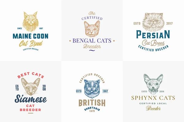 Cat Breeds Badges or Logo Templates Collection. Hand Drawn Sphynx, Bengal, Siamese, Maine Coon and Persian Cats Face Sketches with Typography and Borders. Premium Emblems Set Isolated — Stock Vector