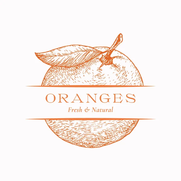 Oranges fraîches Signe vectoriel abstrait organique, symbole ou modèle de logo. Croquis d'agrumes dessiné à la main Sillhouette avec typographie moderne. Emblème des fruits. Isolé — Image vectorielle