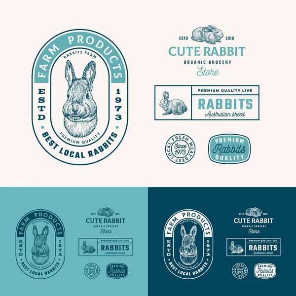 Кращі місцеві кролики ферми Ретро рамка значки або логотип шаблони колекції. Рука намальована заєць обличчя і тварини Ескізи з ретро типографією. Урожай Ескіз Емблеми набір. Ізольовані — стоковий вектор