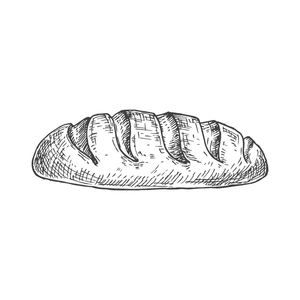 Vector Bakery Sketch. Handgezeichnete Illustration eines Laibs Weißweizenbrot. Isoliert — Stockvektor