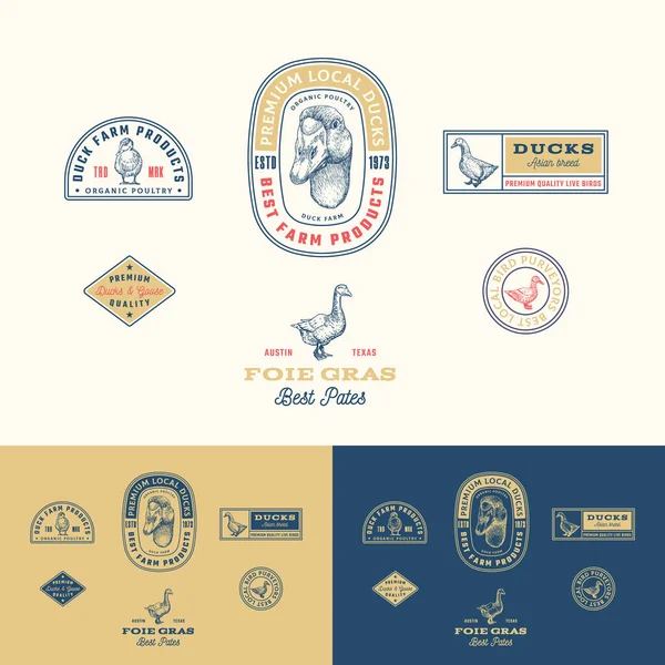 Best Local Duck Poultry Farm Retro Framed Badge o Logo Templates Collection. Faccia d'oca disegnata a mano e schizzi di uccelli con tipografia retrò. Vintage Sketch Emblemi Set. Isolato — Vettoriale Stock