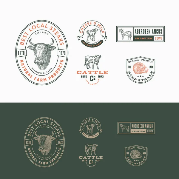 Best Local Cattle Farm Retro gerahmte Badges oder Logo Templates Collection. Handgezeichnete Rindersteaks und Kühe Tierskizzen mit Retro-Typografie. Vintage Sketch Emblem Set vorhanden. Isoliert — Stockvektor