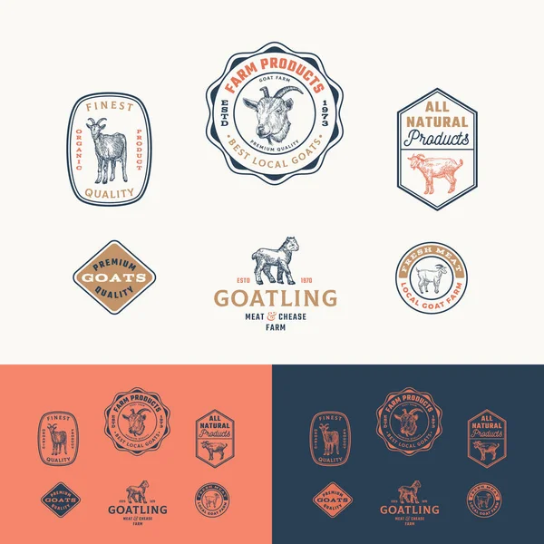 Las mejores insignias enmarcadas retro de granja de cabras locales o la colección de plantillas de logotipo. Bosquejos de animales bovinos dibujados a mano con tipografía retro. Conjunto de emblemas de boceto vintage. Aislado — Vector de stock