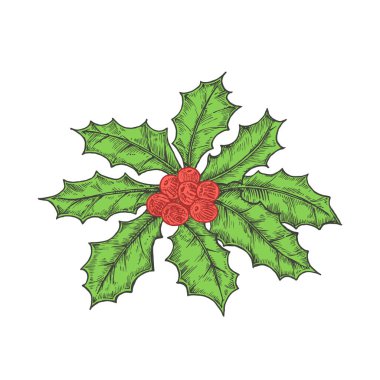 El yapımı Noel Holly Yaprakları Çilek Renk Vektörü İllüstrasyonuyla dolu. Soyut Sketch. Kış Tatili İşleme Stili Çizimi. İzole edilmiş