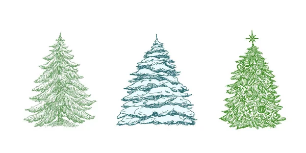 Conjunto de ilustrações de vetor de cor de árvore de Natal desenhada à mão. Coleção Abstract Pines Sketches. Inverno férias gravura estilo desenhos. Isolados —  Vetores de Stock