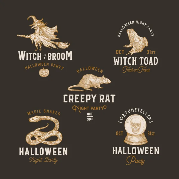 Vintage Style Halloween Logos eller etiketter Mall Set. Hand Drawn Witch, Pumpkin, Padda, råtta, orm och Fortune Ball Skiss Symboler Collection. Retrotypografi. Mörk bakgrund — Stock vektor