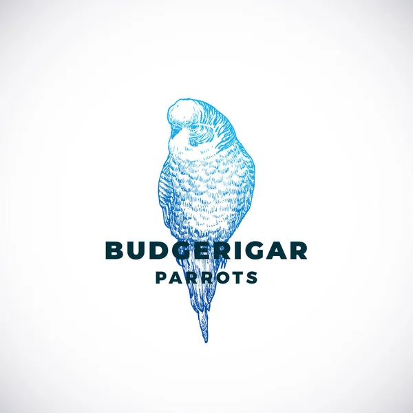 Sketch Style Abstrakcyjny znak wektorowy, symbol lub szablon logo. Ręcznie rysowana Budgerigar Papuga sylwetka. Wysokiej jakości godło egzotycznego ptaka. Izolacja — Wektor stockowy