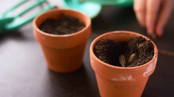Jardinage Objets Avec Deux Pots Boue Sur Une Table Noire — Video