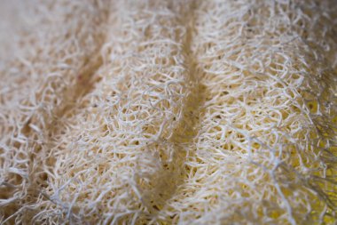 Siyah ahşap bir masa üzerinde doğal beyaz sünger dokusu.. 