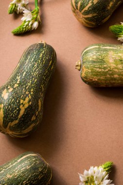 Taze ve yeşil uzatılmış balkabağı ve kahverengi ahşap bir masada beyaz çiçekler.