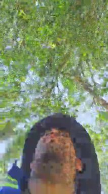 Güneşli bir meyve bahçesindeki bir ağaçtan canlı yapraklarla düşük açılı bir perspektiften çekilen narenciye toplayıp yiyen bir adam..