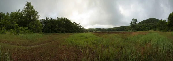 Reserva "Utrish". Pradera — Foto de Stock