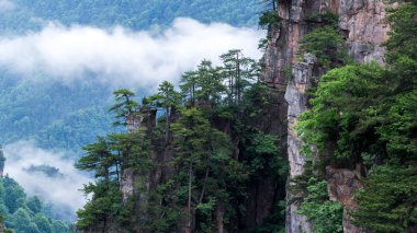 Zhangjiajie Milli Park Çin dağ manzarası