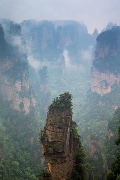 朦胧的陡峭山的山峰 — — 张家界国家公园中国 — 图库照片